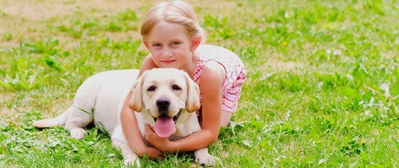 Dog Boarding: Essex Luxury Dog Boarding