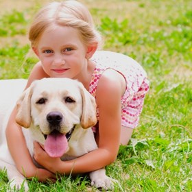 Dog Boarding: Essex Luxury Dog Boarding